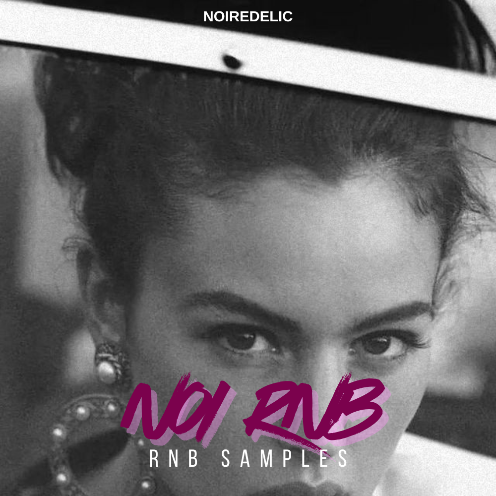 10-IN-1 Vintage Soul And RnB Bundle by Ric Beats And Nioredelic ...